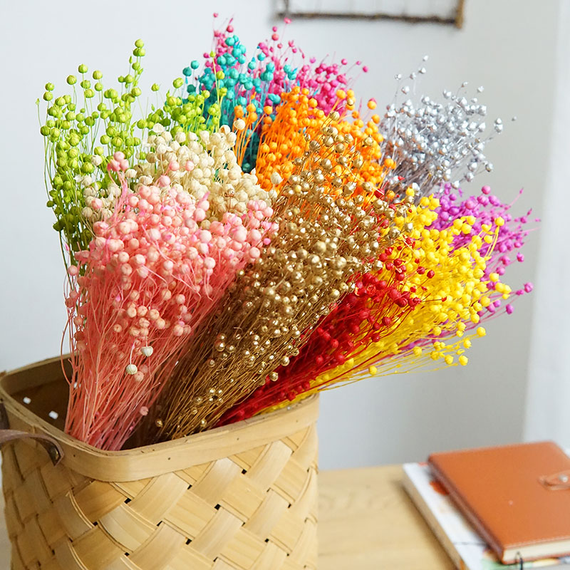 Dried Flower Bouquet - Ormosia Hosiei – vraies fleurs naturelles,