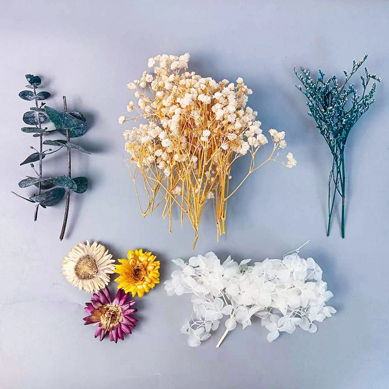 Dried Flower Bouquet - Ensemble de fleurs séchées multiples, 1