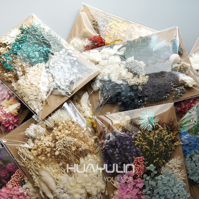 Dried Flower Bouquet - 1 paquet de plantes artificielles séchées,