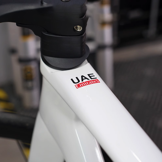2x autocollants pour vélo, pou - Home Decor Uae avis et prix