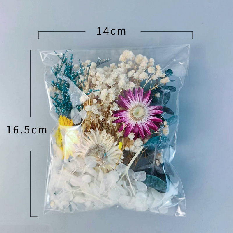 Ensemble de fleurs séchées mul - Dried Flower Bouquet avis et prix