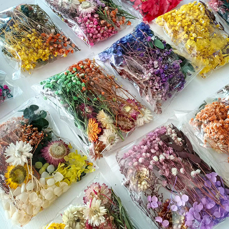Ensemble de fleurs séchées mul - Dried Flower Bouquet avis et prix